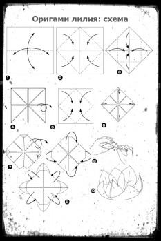 Оригами лилия схема